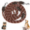 Hundeleine für große und mittelgroße Hunde - Verstellbare Doppelleine aus Nylon mit 2 Karabinerhaken und 3 Ringen - 3m x 15mm - Braun