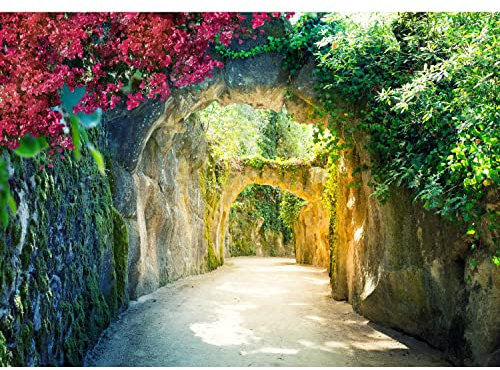 Runa Art Fototapete Landschaft Weg 352 x 250 cm Vlies Tapeten XXL Moderne Wandtapete Wohnzimmer Schlafzimmer Rot Grün 9485011b