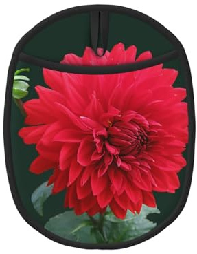Dahlia Rouge, Maniques, maniques résistantes à la Chaleur, maniques de Cuisine en Silicone antidérapantes