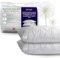 Adam Home Pillows 2 Pack Hotel Quality with Quilted Cover Hypoallergenic & Dust Mite Resistant Filling – Ideal for Stomach, Back and Side Sleepers Down Alternative Hotel Pillows