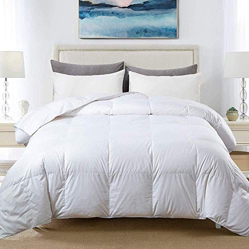 CosìCasa Piumino Matrimoniale Primavera/Estate 200X250 cm - 100 gr/mq | Trapunta Microfibra Anallergica | Piumone Leggero | 2P