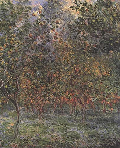 DIY 5D Diamond Painting by Number Kits Claude Monet Zitronenbäume Kreuzstich Stickerei Strass Bild Kunst Handwerk Wanddekoration 30x40cm