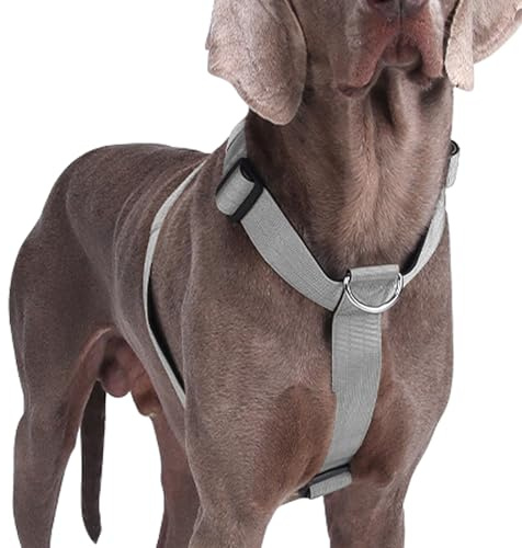 Arnés para Perro Medianos y Grandes, Arnés Perros Pecho Antitirones, Arnes para Perro Chaleco Acolchado Ajustable para Adiesreamiento Correr & Caminar (Gris, M)