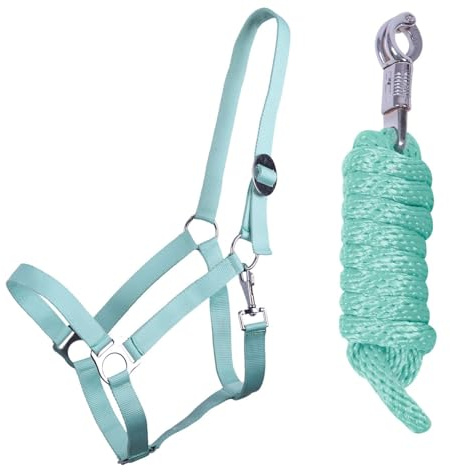 ARBO-INOX Halfter-Set Beginner II Halfter + Führstrick mit Panikhaken verstellbar (Full Vollblutt, Ice Green)