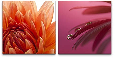 Paul Sinus Art Wandbild 2x60x60cm Blume rote Blüte Sommerblumen Wassertropfen Wasserperlen Rosa Makrofotografie