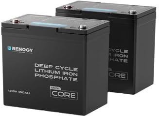 Renogy 200Ah 12V LiFePO4 Battery (2pcs 100AH Lithium Battery), Mini Size Lithium Iron Phosphate Leisure with 5000+ Deep Cycles, IP65 and BMS Protection for Caravan, Boat and Solar Panel System
