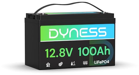 Dyness Batterie Lithium 12V 100 Ah LiFePO4 avec Protection 100A BMS et Max 15000 Cycles, Batterie Lithium Camping-Car pour kit Panneau Solaire, Caravane, Bateaux, Alimentation de Secours