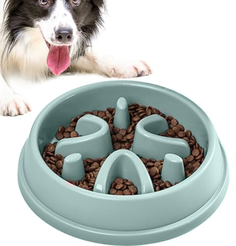 Gamelles pour Chien à Alimentation Lente Petite Race, Gamelles pour Chien à | Bol d'alimentation lente anti-avalement pour