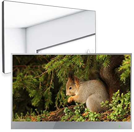 Soulaca Smart Mirror TV webOS de 22 Pulgadas para baño (sin sintonizador) con Freeview Play y Alexa Incorporado, con Control Remoto Magic, Bluetooth, Wi-Fi(webOS)