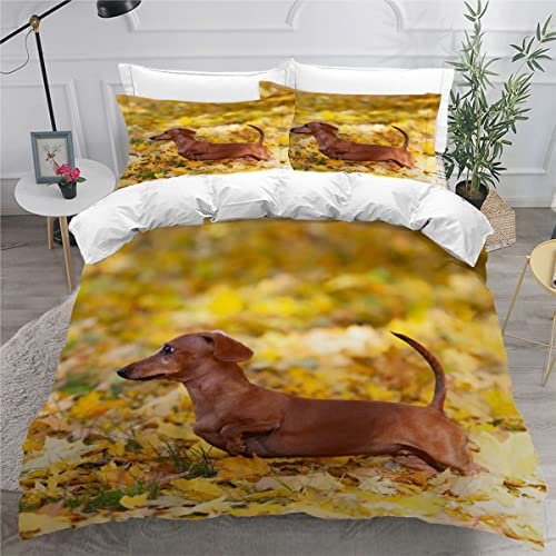 Set di biancheria da letto matrimoniale con bassotto in morbida microfibra, 3 pezzi, con chiusura a cerniera, stampa cane marrone, copripiumino per letto matrimoniale piccolo