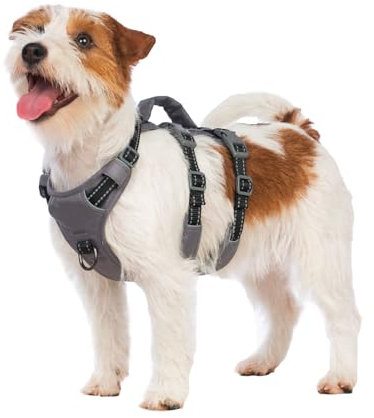 Huntboo Sicherheitsgeschirr Hund Ausbruchsicher, Panikgeschirr für Hunde, Reflektierendes Geschirr Hund mit Griff, Verstellbare Hundegeschirr für kleine, mittelgroße und große Hunde (Schwarz,S)