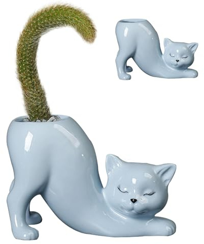 Macetero para Plantas suculentas, Maceta Original para decoración del hogar y jardín, Maceta única para Cactus, Plantas pequeñas en Interiores y Exteriores, Accesorio Decorativo