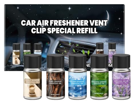 Befeixue Désodorisants Automobiles - 5 Pièces De Décoration Aromathérapie,Désodorisants Diffuseurs D'huile Essentielle Pour Voiture,Pour Auto Intérieur Salle De Bain Maison Femmes Famille Amis