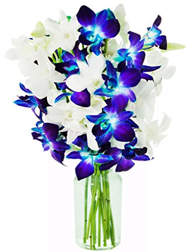KaBloom - Starry Night Bouquet of 5 Blue and 5 White Orchid with Vase - Fresh Flowers for Birthday, Valentine's & Mother's Day