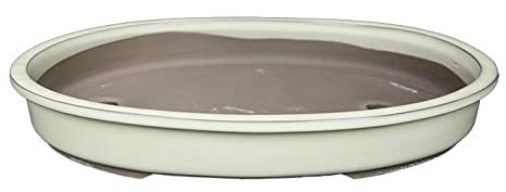 Geosism & Nature Japanische Bonsaischale Morrisan oval aus weiss glasiertem Steingut 22x16x4 cm - B23-43c