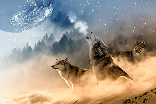 hansepuzzle 35424 - Wolf Puzzle 2000 Teile - Tierwelt Motiv mit hochwertiger Aufbewahrung: Kartonbox und wiederverschließbarem Beutel - Format 90 × 60 cm