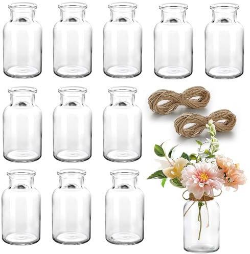Renijion 12 Mini Vases, Small Glass Bud Vases for Flowers, Vintage Style for Decorative Table, Wedding Party, Home