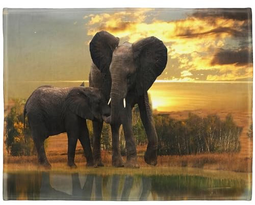 YISUMEI Decke 125x150 cm Kuscheldecken Sanft Flanell Weich Fleecedecke Bettüberwurf Mutter Elefant Kind