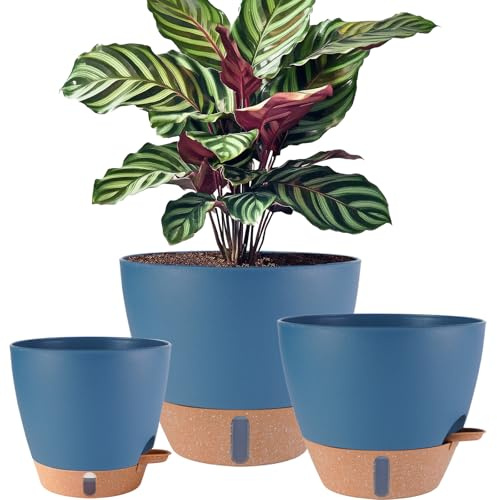 Fielda 12/10/8 inch Plant Pots, Large Plastic Self Watering Planters