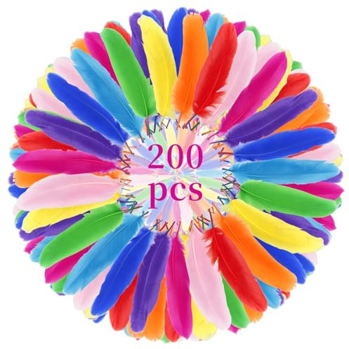 Notoke 200 Stück Bunte Federn, Natürliche Bastelfedern Bunt, Federn zum Basteln, 10–15 cm lang, für DIY Kunstwerk, Kindergarten, Hochzeiten und Kostümdekorationen