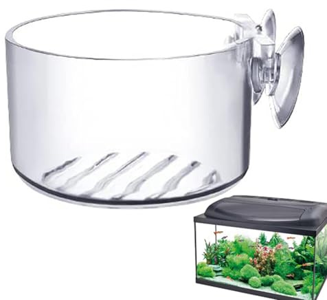 Genérico Cestas para Plantas de Estanque - Copas de Cultivo Acrílicas Transparentes con Ventosas | Decoración para Cría De Plantas Y Jardinería De Camarones En Interiores Vivario Paludario