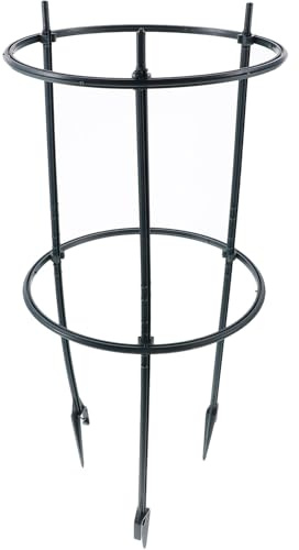 ibasenice Support Plante Grimpante Plastique pour Intérieur et Extérieur Étagère Végétale Stable avec Tiges et Cercles Treillis Décoratif pour Jardin Patio et Maison