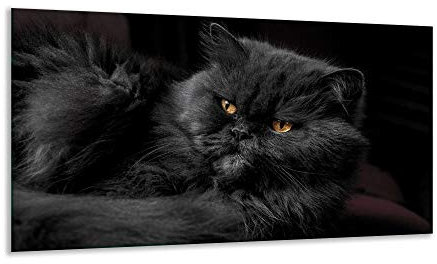 Herdabdeckplatte Ceranfeld Katze Schwarz 1 Teilig 90x52 Kochplatten Induktion