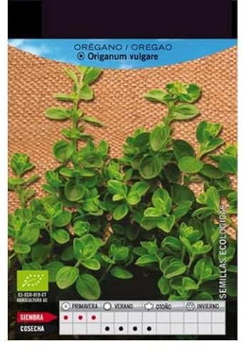 Semillas Planta Aromática Orégano para Cultivar Origanum Vulgare