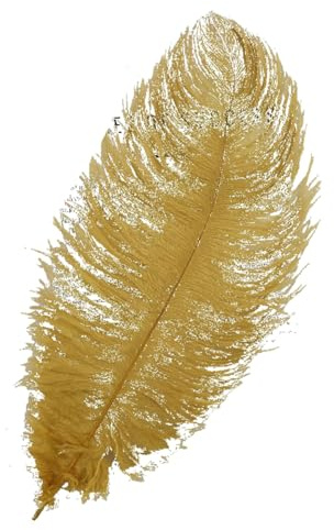 AMateschitz Lot de 10 plumes d'autruche naturelles Plume Belle plume d'autruche plumes décoratives plumes d'autruche douces pour le bricolage Multicolore pour mariage, maison, costumes DIY Or 25-30 cm