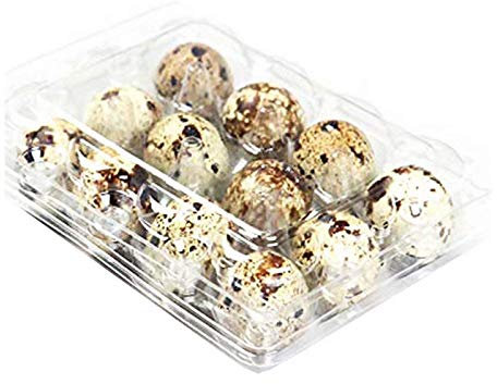 Quail Egg - Scatole per uova di quail, riutilizzabili, plastica riciclabile per frigorifero, ogni spazio può contenere 12 uova di quina, fagano o Grouse