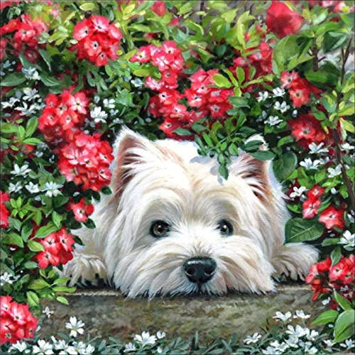 Reofrey 5D Diamond Painting Zubehör Hunde, DIY Full Dril Tiere Diamant Painting Bilder Set Diamant Malerei Vollbohrer, Kreuzstich Erwachsene Stickerei Crystal Strass Foto Craft Für Wall Home 35x35cm