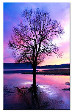 DECLINA, Modernes Dibond Bild, Druck auf Aluminium, Alurahmen, Aluminiumbild, Home Deco Landschaft Baum und Teich, 80 x 120 cm