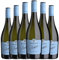 Zonin Frizzante Glera Prosecco 75 cl Weißer Sekt (Karton mit 6 Flaschen von 75 cl)