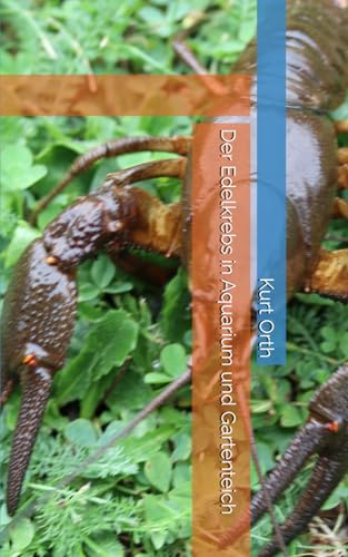 Der Edelkrebs in Aquarium und Gartenteich
