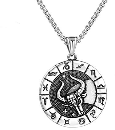 HIJONES Herren Damen Jahrgang Runden Zeichen Stier Konstellation Reize Halsketten aus Edelstahl mit Lange Box Kette