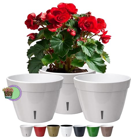 Santino ASTI set om 3 18 cm självvattnande blomkruka med vattennivåindikator – rund premiumkvalitet inomhus blomkruka för anläggningar, blommor, örter (Ø 18 cm, H 14 cm, 2,5 l – grå/vit)