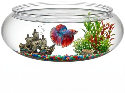 Toddmomy Transparent Desktop Aquarium Tank 9.52X9.52X3.93In Clear Betta Fish Bowl for Aquatic Plants Home Office Decorative Landscape Fish Tank