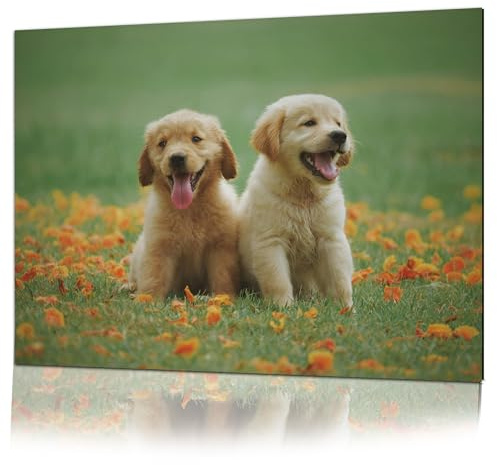 Dat Design GmbH Foto auf Leinwand, Acrylglas, Aluverbund oder Holz – personalisiertes Wandbild – Geschenk – über 50 Größen – hochwertiger Druck aus Deutschland (Druck hinter Acrylglas, Querformat)