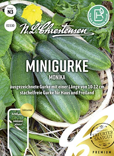 Minigurke Monika Samen, Saatgut