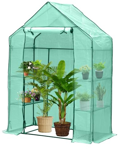 ISOISL Gewächshaus mit 135 g PE-Folie Foliengewächshaus 143*73*195CM Stahlrohr 16 mm Durchmesser, aufrollbare Tür, Tomatenhaus begehbares Treibhaus, Pflanzenhaus für Garten, Grün