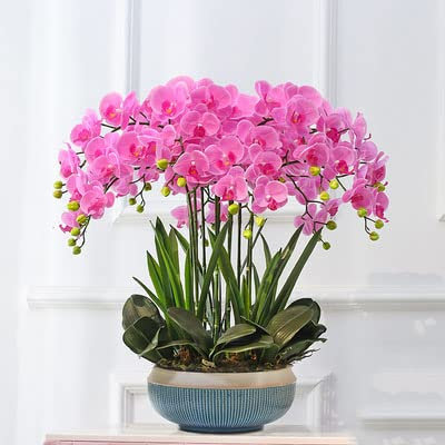 pflanzenständer, blumenstand, blumenstander Blumenregal pflanzenhocker pflanzentopf blumentopf hoch indoor holz seule Garten Blumentreppen Pflanzentreppe Ablagen deko gold metall weiß schwar