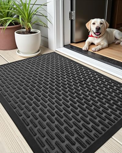 COLOR&GEOMETRY Fußmatte Außen, Schmutzfangmatte für Innen und Außen, Waschbar Fußmatte Outdoor rutschfeste Türmatte Außen Fussmatte Aussenbereich Eingangsteppich (43.5 x 75 cm, Schwarz)