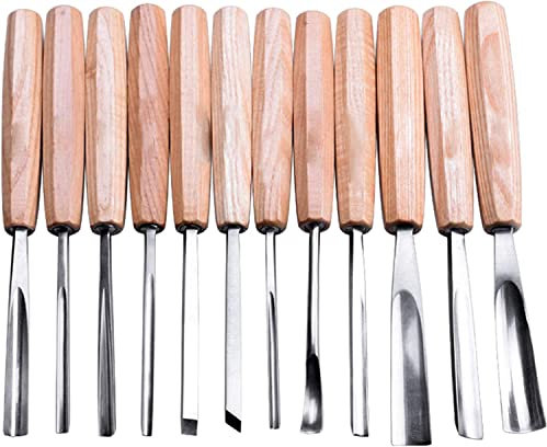 OITTo Juego de cinceles Profesionales para tallar Madera, Herramientas afiladas de 12 Piezas con Estuche de Transporte, Ideal para Principiantes y entusiastas