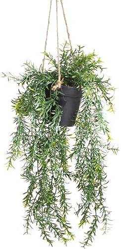 Botanic-Haus künstliche Asparagus Pflanze Hängeampel im schwarzen Kunststofftopf
