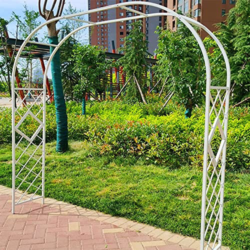 Arche de jardin en fer forgé pour plantes grimpantes et vignes - Facile à installer - Motif grille décorative blanche - 260 cm