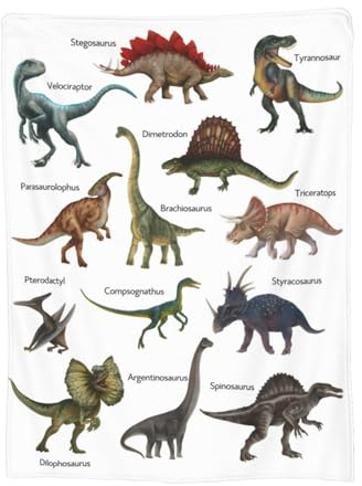 Newhomestyle Dinosaur Throw Blanket for Boys & Children, Soft and Warm Dino Flannel Blanket, Lightweight Cozy Fleece Blankets for Bed Sofa Couch (Stegosaurus, Dimetrodon, Velociraptor) - 100X125 cm