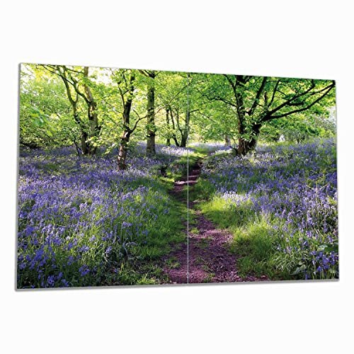 Wallario Herdabdeckplatte/Spritzschutz aus Glas, 2-teilig, 80x52cm, für Ceran- und Induktionsherde, Blaues Hasenglöckchen im Wald