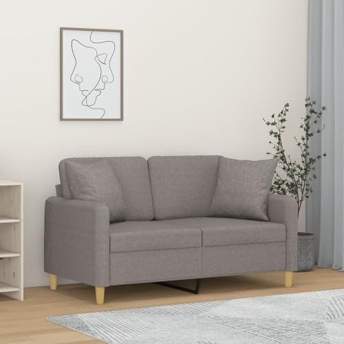 Homgoday 2-Sitzer-Sofa mit Zierkissen Sofa Couch Loungesofa Doppelsofa Moderne Relaxsofa Relaxcouch Loveseat Gästesofa Sofa Sitzmöbel für Wohnzimmer Schlafzimmer Büro Hellgrau 120 cm Stoff