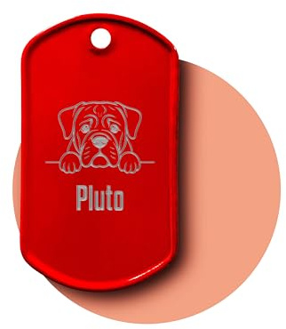 Personalisierte Hundemarke mit Gravur inkl. Kette und Silencer | Dog Tag mit Hunde-Motiv & Name | Erkennungsmarke für Halsband | Geschenk für Hundebesitzer (rot)