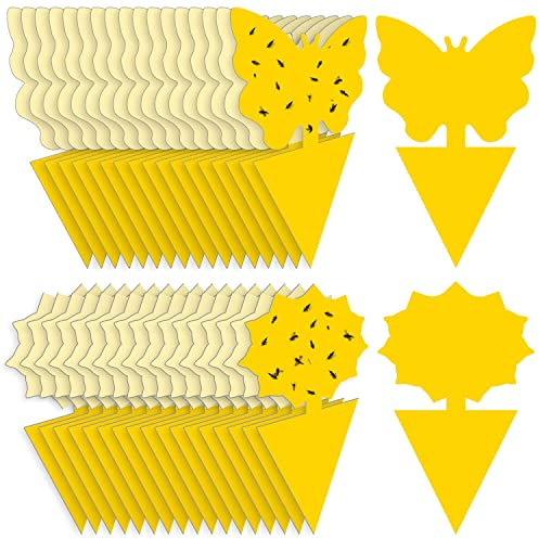 72 x Gelbsticker trauermücken bekämpfen, Thripse Bekämpfung Gelbtafeln Fruchtfliegenfalle klebefalle Insektenfalle für die Zimmerpflanzen Schädlingsbekämpfung (72 Stück)